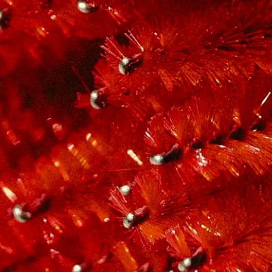 Lash Maintenance Plan at Nubian Luxe Beauty in Joppatowne, MD